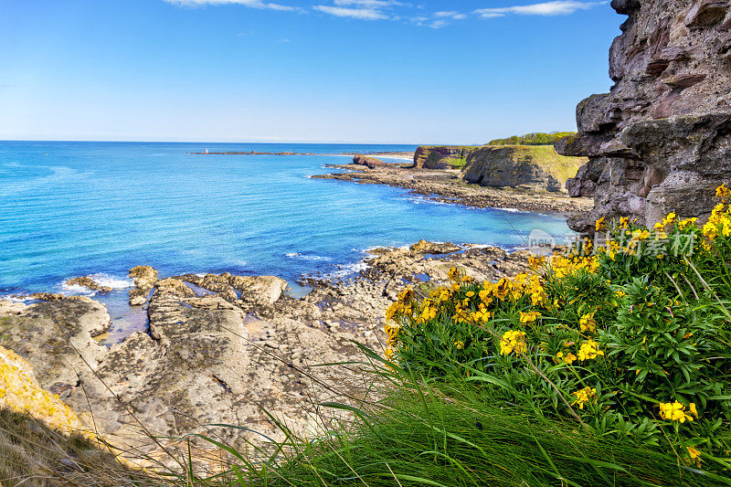 Sea Cliffs by Oxroad Bay，北贝里克，东洛锡安，苏格兰，英国